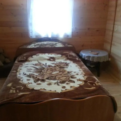 Гостиница Eco-camping Valterra Стандартный номер разные типы кроватей фото 2