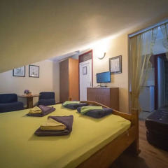 Апартаменты Apartments Villa Ferri Студия с различными типами кроватей фото 24