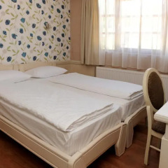 Hotel Centar Balasevic 3* Стандартный номер с различными типами кроватей фото 4