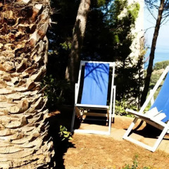 Отель Villa Palme Cefalu Чефалу приотельная территория