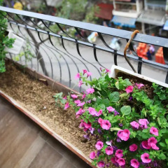 Meracus Hotel 2 3* Люкс с различными типами кроватей фото 3