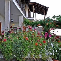 Duru Hotel 3* Стандартный номер фото 4