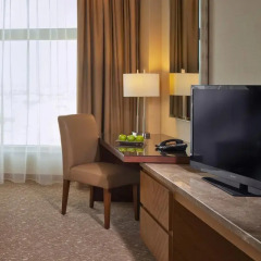 Отель Al Ghurair Rayhaan by Rotana Номер Премьер с двуспальной кроватью фото 3