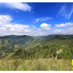 Отель Us Holiday Resort фото 5