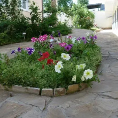 Гостиница Arkadis Hotel Украина, Одесса - отзывы, цены и фото номеров - забронировать гостиницу Arkadis Hotel онлайн фото 3