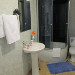 Alex Palace Mini Hotel Лоо ванная