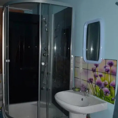 Гостиница Guest House Beryoza Стандартный номер с разными типами кроватей фото 6