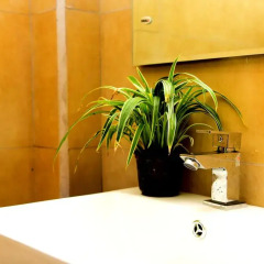 Отель Twin Blocks Nature Resort 2* Шале с различными типами кроватей фото 17