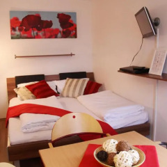 Отель CheckVienna - Apartmenthaus Hietzing Апартаменты с различными типами кроватей фото 21