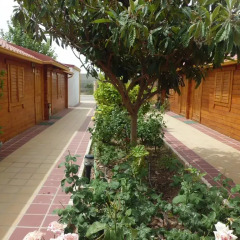 Отель Hostal Gran Avenida Саэлисес фото 10