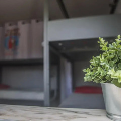 Funky Monkey Hostel Sagres интерьер отеля