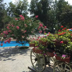 Park Hotel Briz - Free Parking