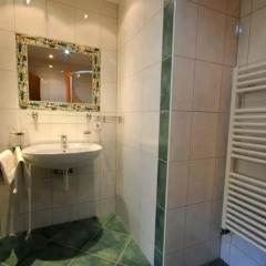 Апартаменты Auhof Apartments Стандартный номер с различными типами кроватей фото 5