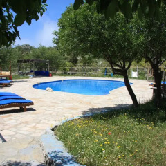 Отель Blacktree Farm and Cottages детские мероприятия
