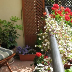 Отель Patio Mare Apartament Amber Польша, Сопот - отзывы, цены и фото номеров - забронировать отель Patio Mare Apartament Amber онлайн фото 3