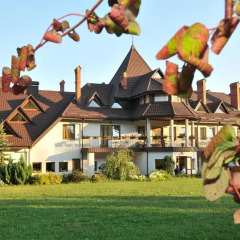Гостиница Troyanda Karpat детские мероприятия