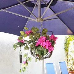 Отель Casa Vacanza La Palma Виагранде фото 3