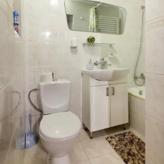Гостиница Opera Theater Apartments Украина, Львов - отзывы, цены и фото номеров - забронировать гостиницу Opera Theater Apartments онлайн ванная
