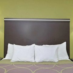 Отель Super 8 by Wyndham Inglewood/LAX/LA Airport 2* Стандартный номер с различными типами кроватей фото 9