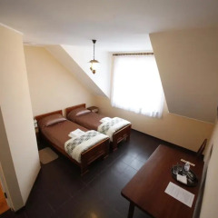 Гостиница Café Chalet Edelweiss Holiday Home Тернополь комната для гостей фото 2
