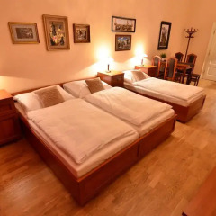 Отель Pension Karlova Стандартный номер фото 6