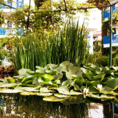 Belconti Resort Hotel 5* Стандартный номер с различными типами кроватей фото 10