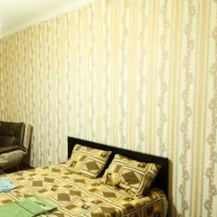Отель Leader Inn Стандартный номер с различными типами кроватей фото 14