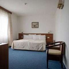 BEST WESTERN Park Hotel 3* Стандартный номер с двуспальной кроватью фото 3