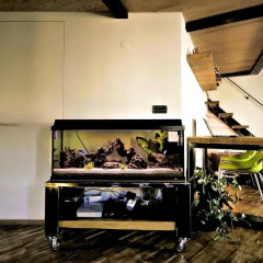 Отель Aquarium Penthouse Генуя детские мероприятия