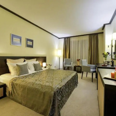 Rosslyn Central Park Hotel комната для гостей фото 2
