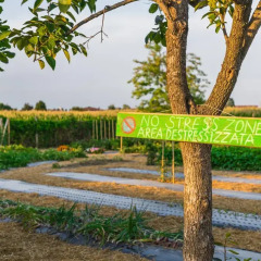Отель La Posa degli Agri Италия, Лимена - отзывы, цены и фото номеров - забронировать отель La Posa degli Agri онлайн фото 3