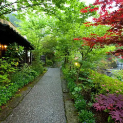 Отель Kurokawa Onsen Oku no Yu Минамиогуни фото 5