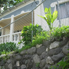 Отель Pineapple Hill Sea View Cottage Порт Антонио