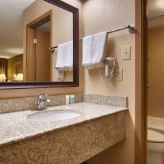 Отель Best Western Vicksburg Inn 2* Стандартный номер с различными типами кроватей фото 20