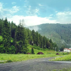 Гостиница Усадьба Рокса фото 9
