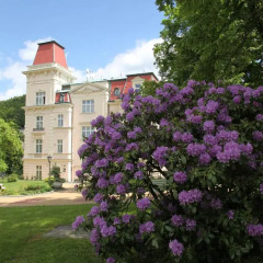 Отель Bristol Vila Tereza Карловы Вары фото 2