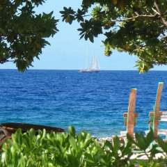 Отель Green Lodge Moorea