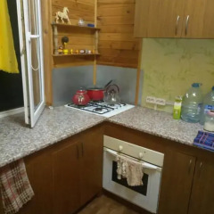 Mini-hotel Ekonomnaya Derevnia Люкс фото 8