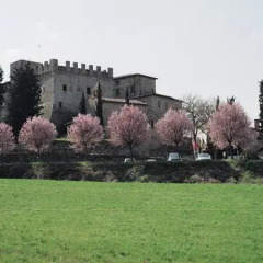 Отель Castel Pietraio Строве фото 10