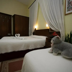 Hotel Nais 3* Стандартный номер фото 5