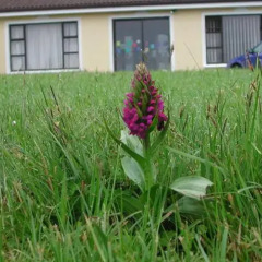 Отель Burren Breeze Accommodation парковка