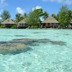 Отель Hôtel La Pirogue Api