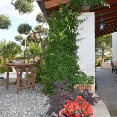 Отель B&B Delle Rondini Альберобелло фото 2