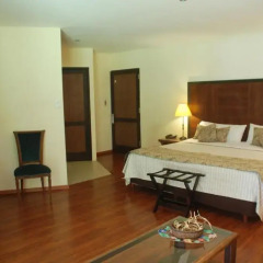 Suter Petit Hotel 4* Люкс Премиум фото 14