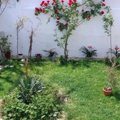 Отель Petrovi Guest House Болгария, Аврен - отзывы, цены и фото номеров - забронировать отель Petrovi Guest House онлайн фото 10