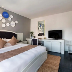 Alba Spa Hotel 3* Номер Делюкс с различными типами кроватей фото 3