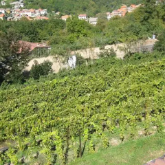 Гостевой Дом Agriturismo Al-Marnich Скиньяно фото 5