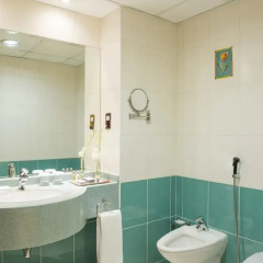 Coral Dubai Deira Hotel 4* Номер Делюкс с разными типами кроватей фото 5