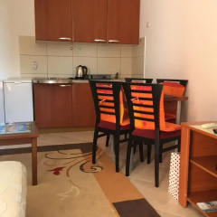 Апартаменты Apartments Ivan Апартаменты с различными типами кроватей фото 13
