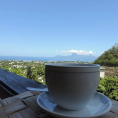 Отель Tahiti Relocation балкон